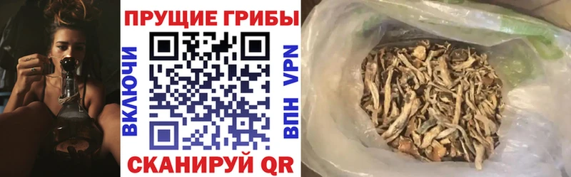 Псилоцибиновые грибы мухоморы MEGA зеркало Адыгейск
